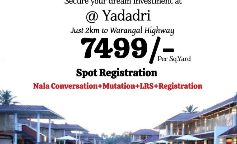 royal-761×1024-1-761×462-1