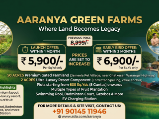 Gemini_Generated_Image_jhjav0jhjav0jhja