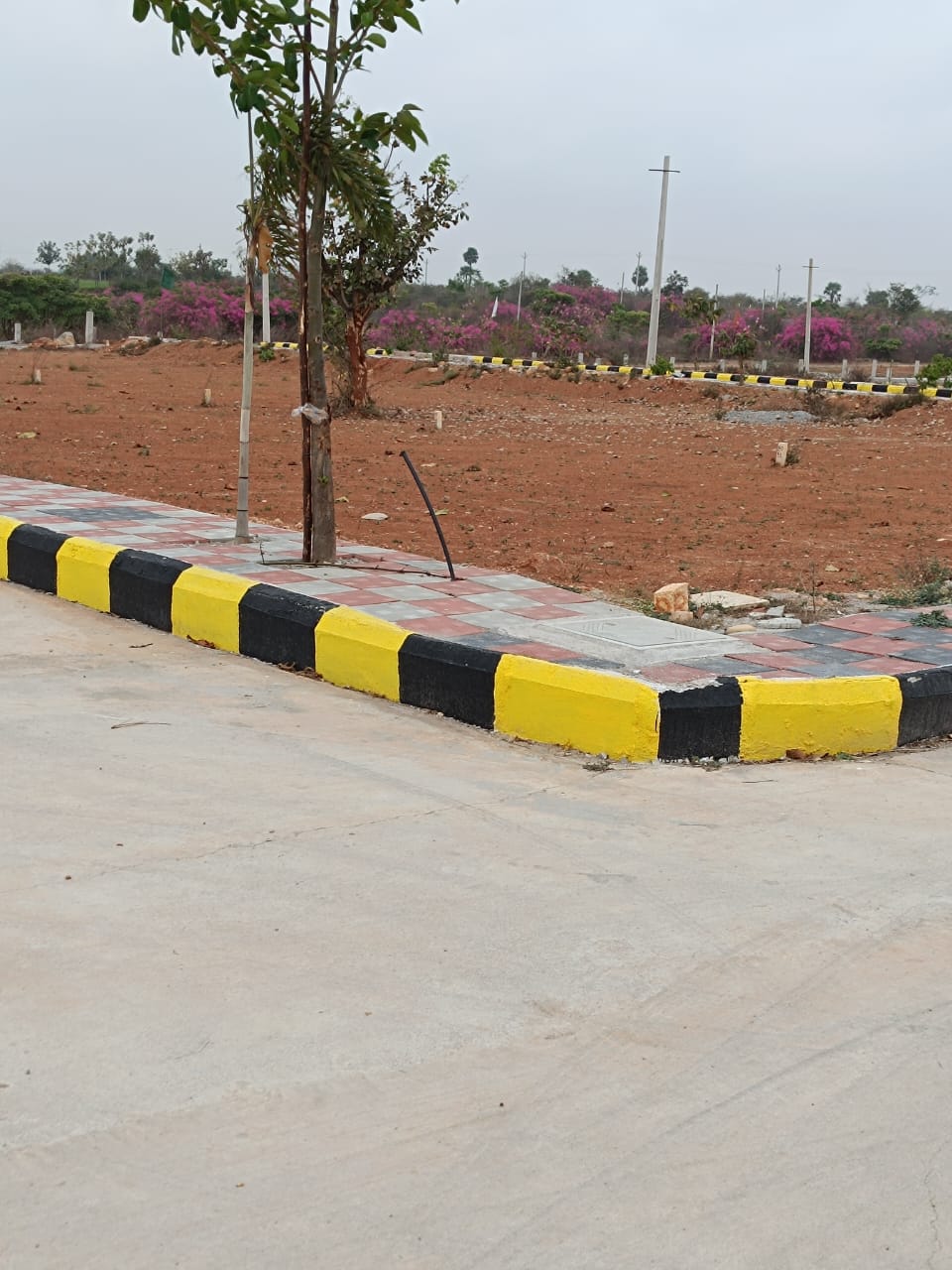 WhatsApp-Image-2026-04-16-at-11.01.21-1