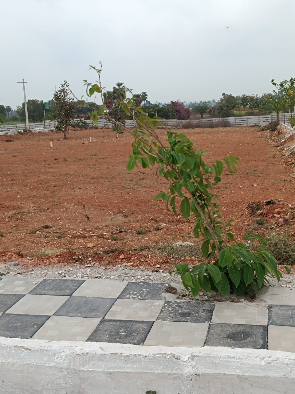 WhatsApp-Image-2026-04-16-at-11.01.21